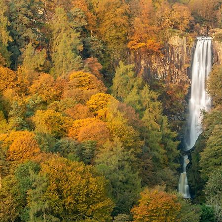 Odli Glamping - Deri Leilighet Welshpool Eksteriør bilde
