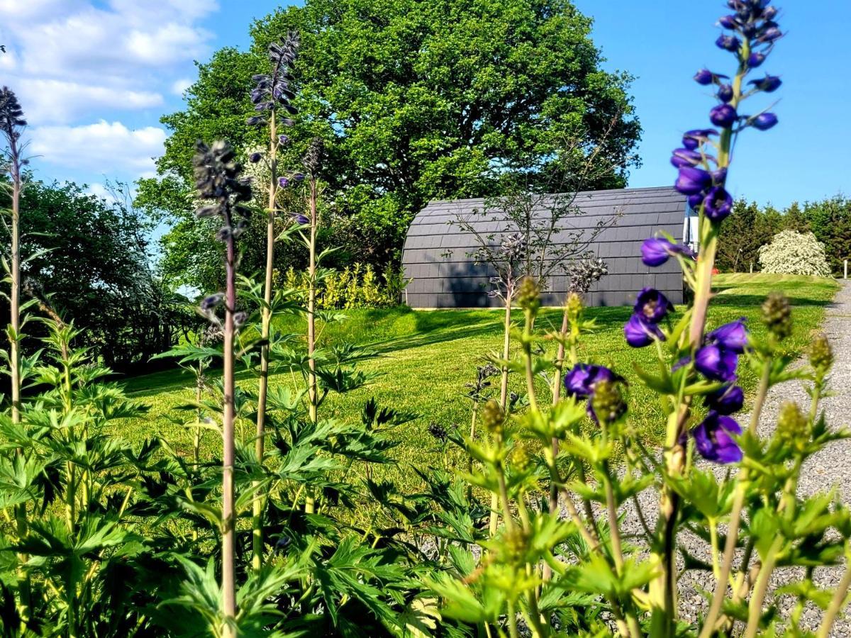 Odli Glamping - Deri Leilighet Welshpool Eksteriør bilde