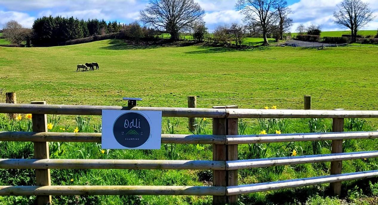 Odli Glamping - Deri Leilighet Welshpool Eksteriør bilde